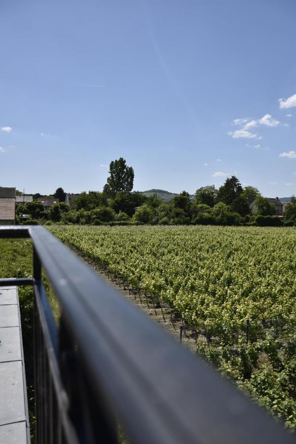 Manoir Henri Giraud & Spa Ay-Champagne Exterior foto